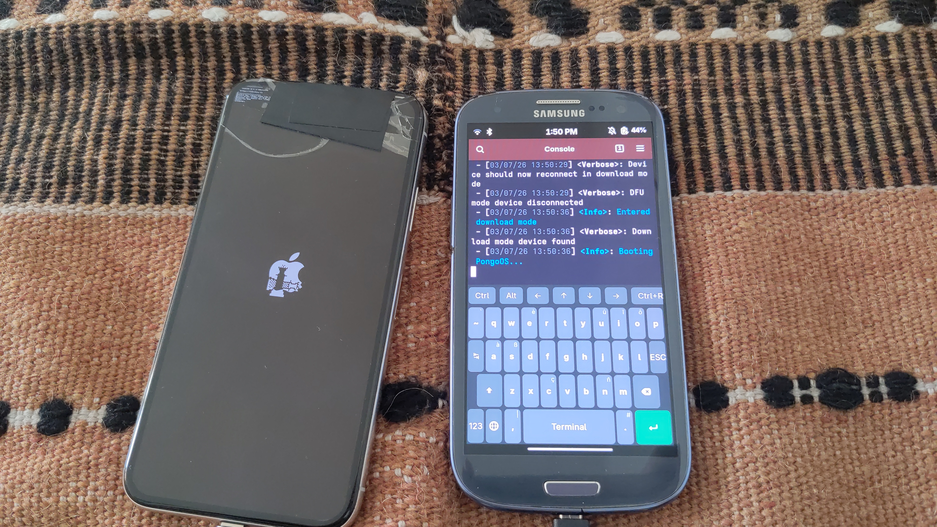 palera1n boot logo on iPhone X